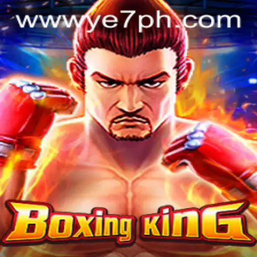 Exploring BoxingKing: The Ultimate Fighting Experience